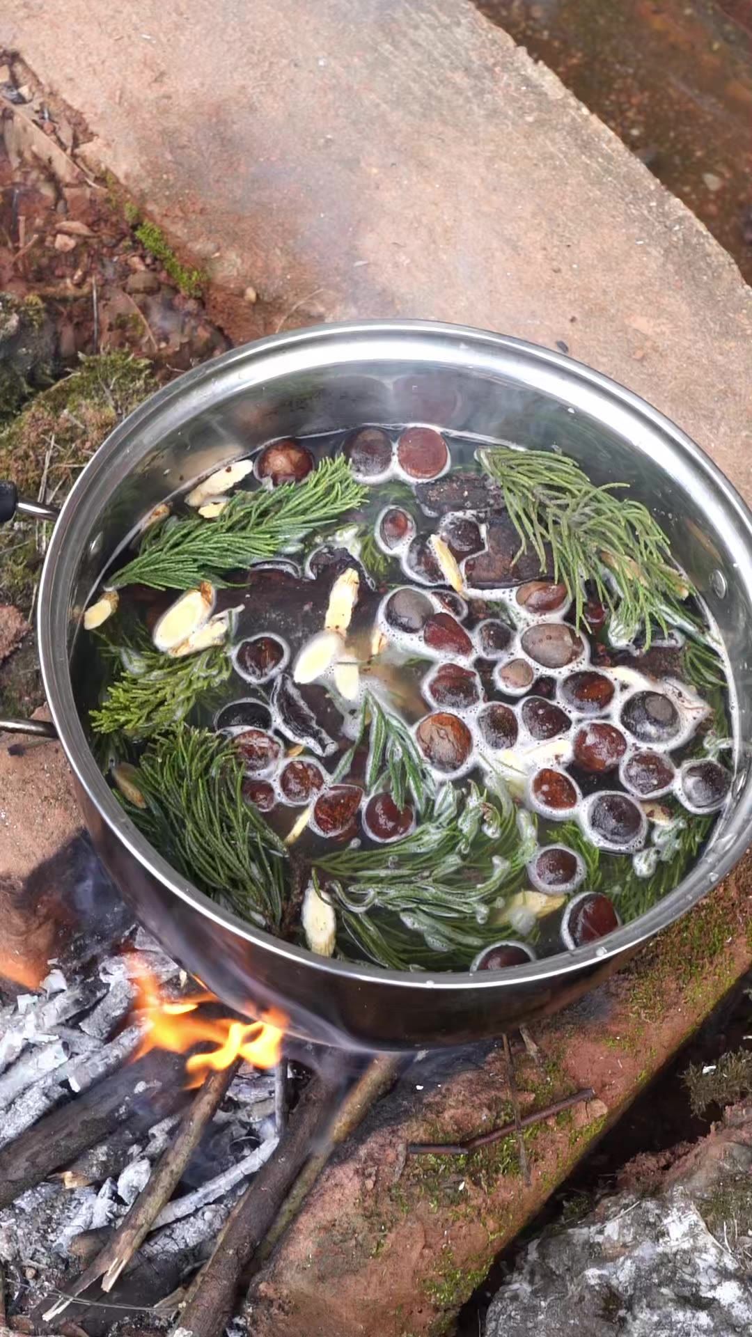 茶枯 茶麸 
