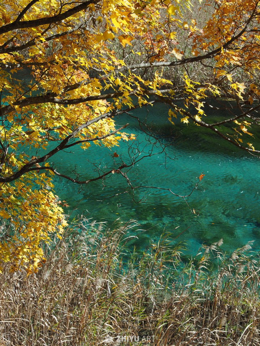 川西九寨/毕棚沟/四姑娘山 34
