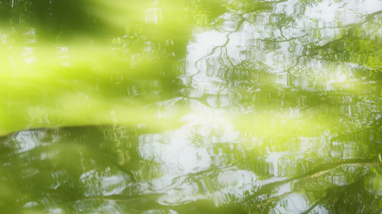 湖水微波荡漾