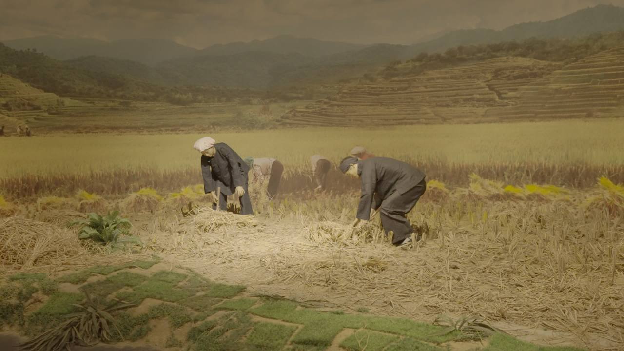 博物馆 11