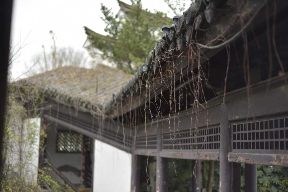 月湖公园
