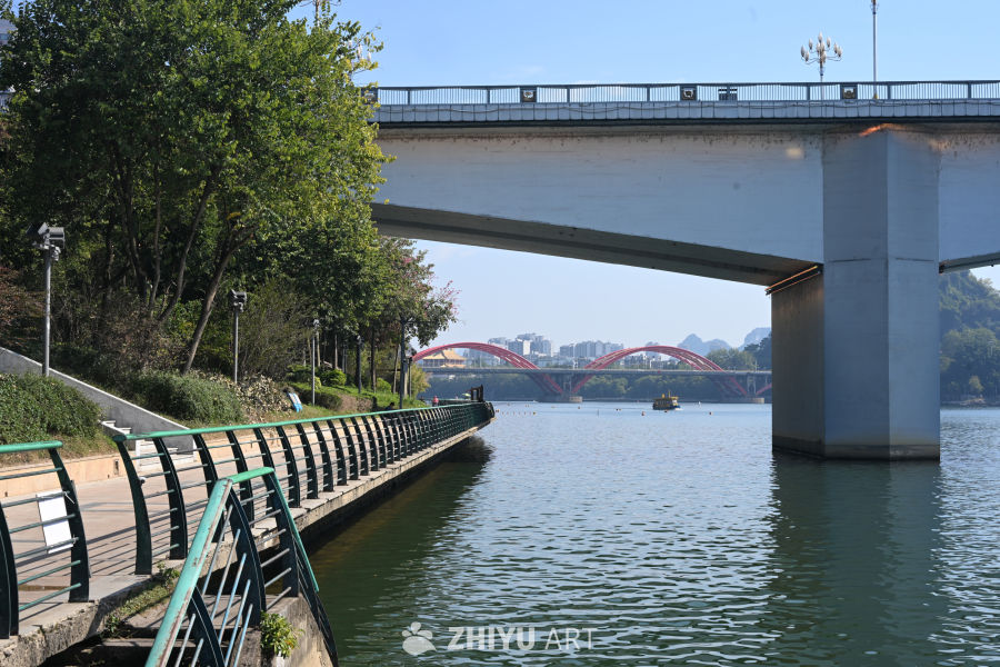 尼康ZR 照片拍摄原片样片 6