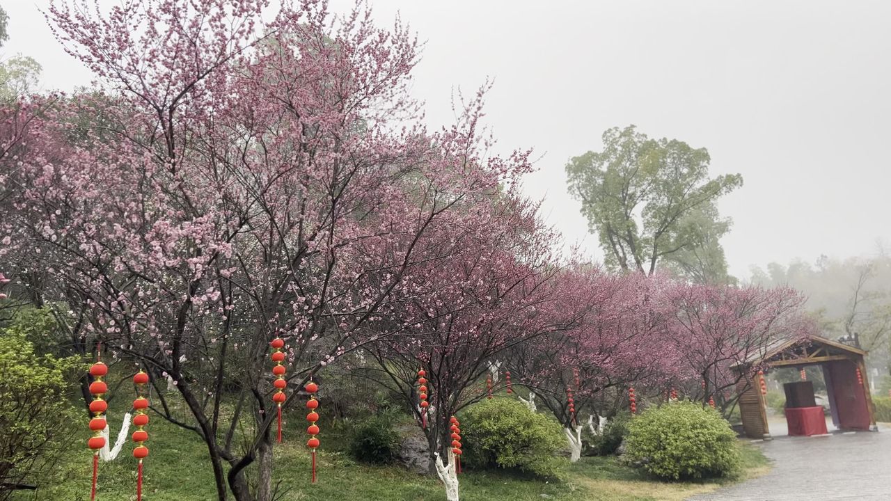 桃花源景区