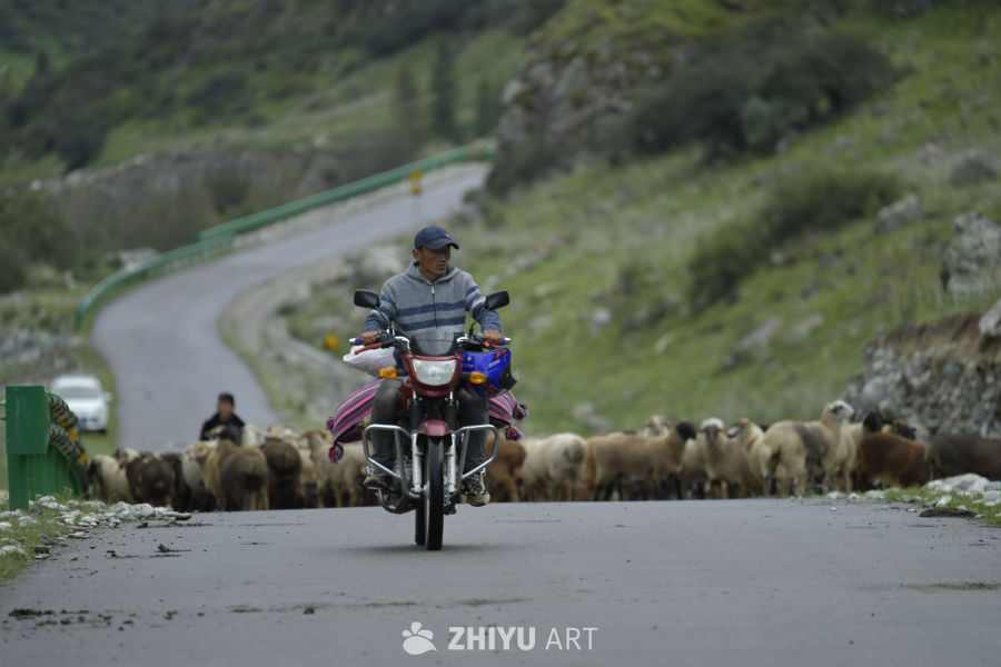 山间牧道上的骑手