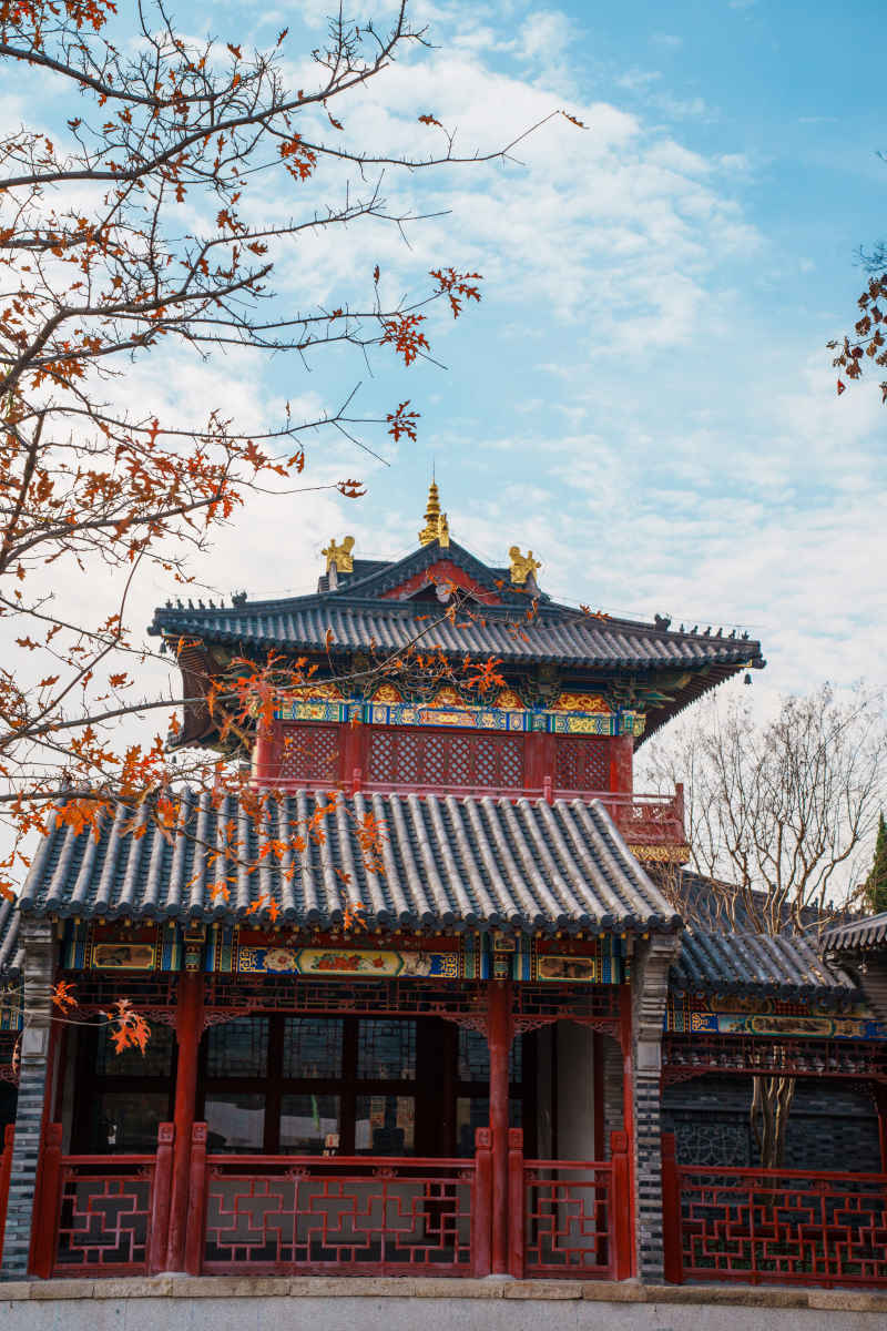 风景