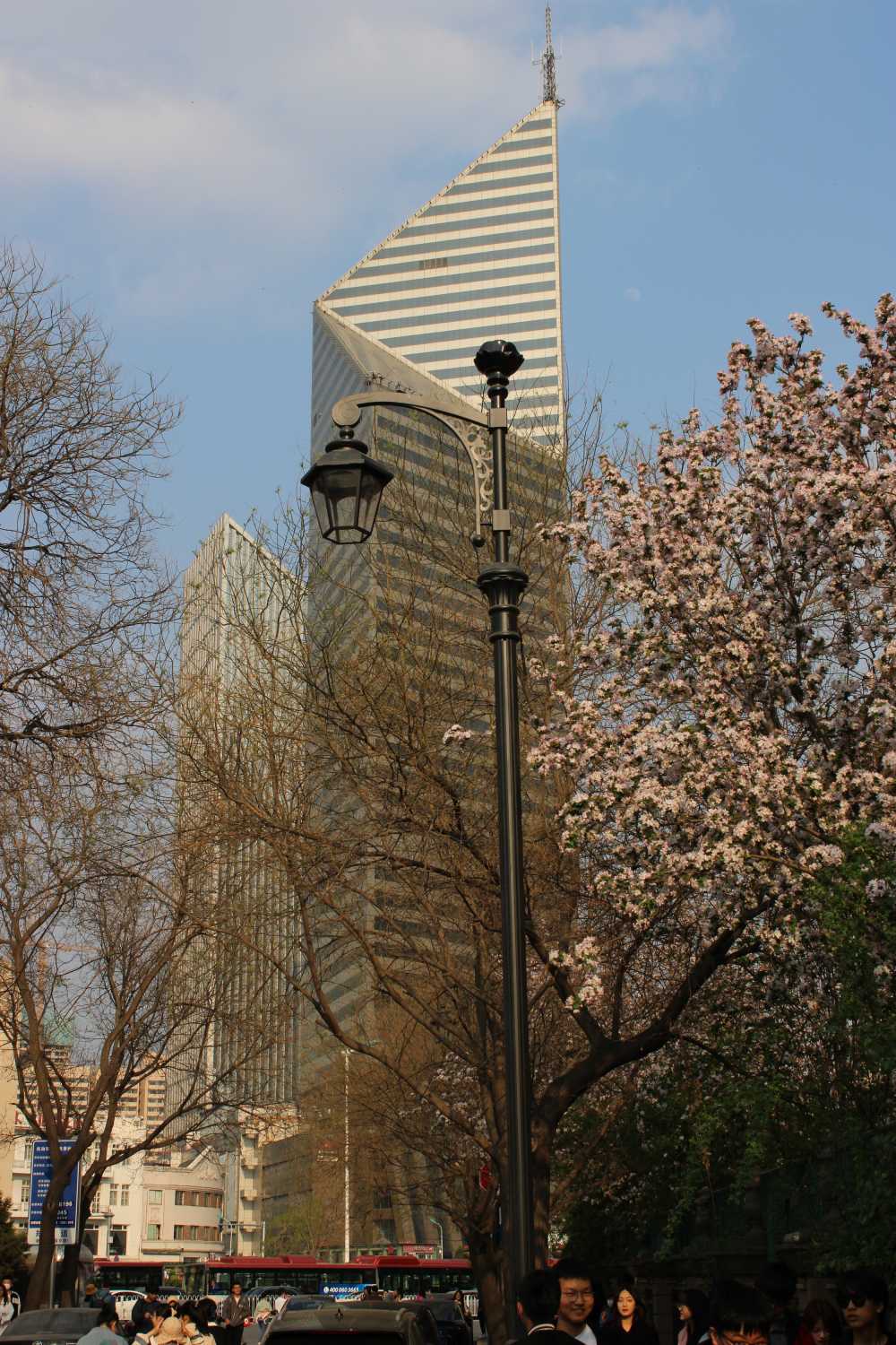 城市与自然