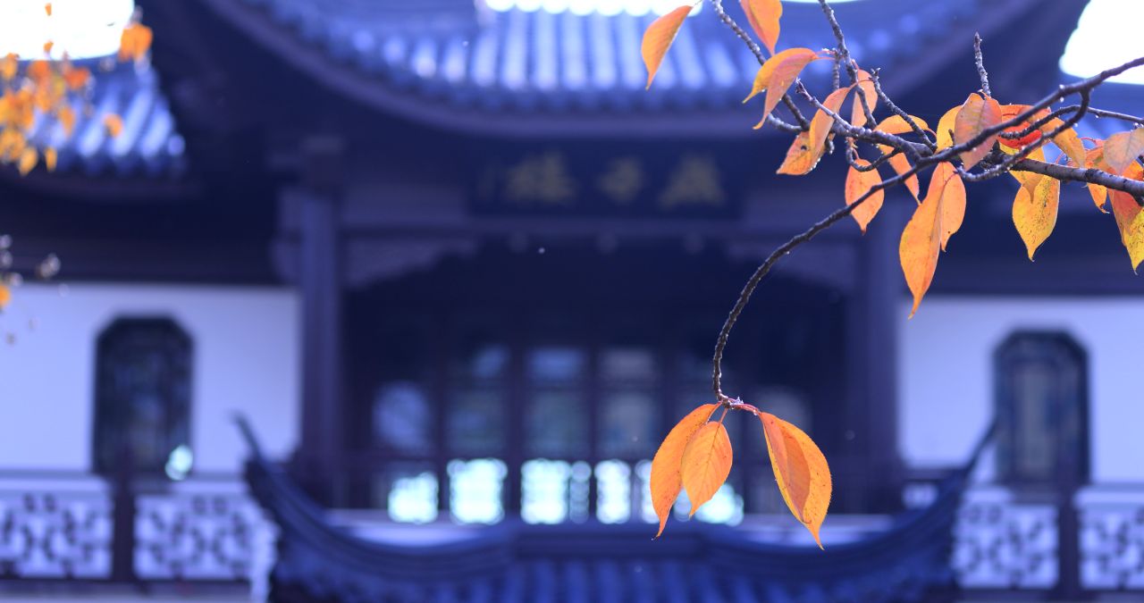 实拍徐州燕子楼秋景