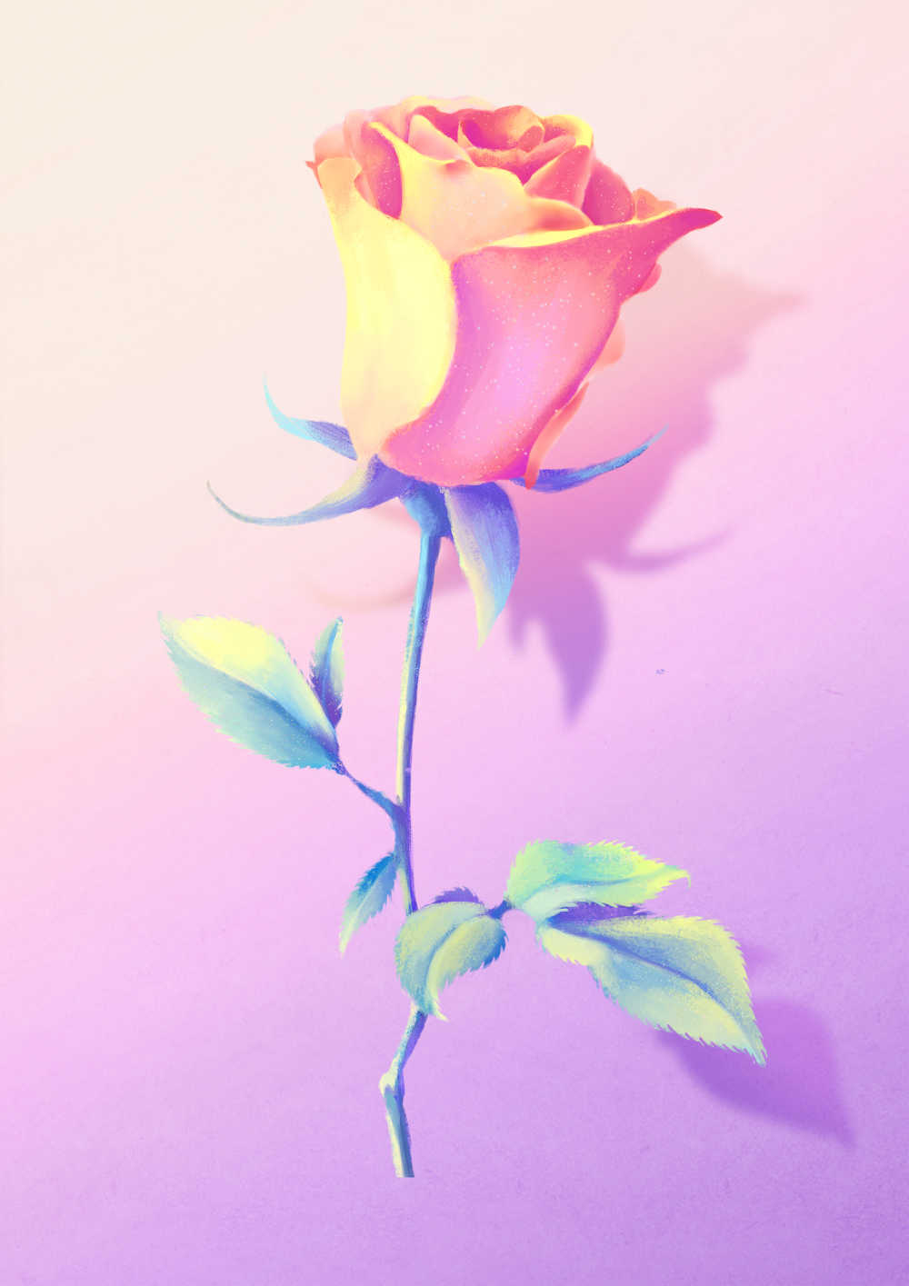 阳光下粉紫色玫瑰花唯美场景插画