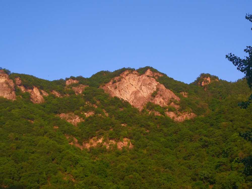 山