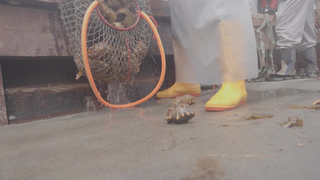 渔船捕捞海产现场