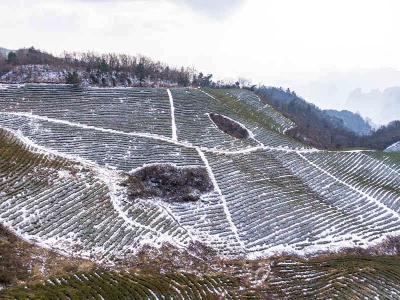 湖南张家界武陵源5A景区雪景