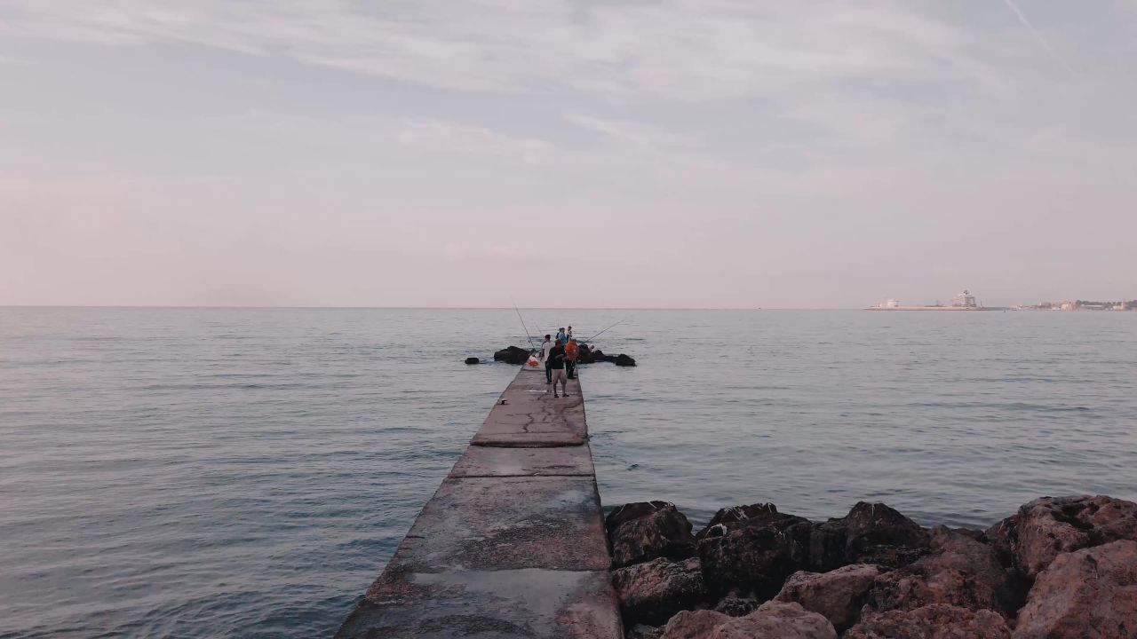 桥捕鱼海景观