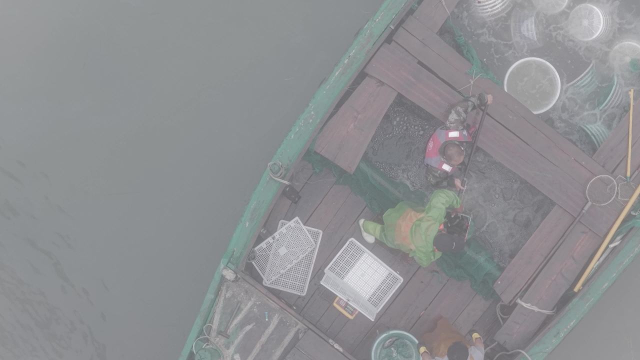 沿海渔村水产养殖与网箱作业