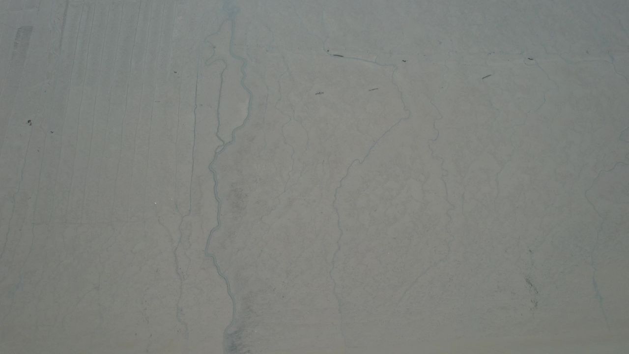 退潮后大海赶海实拍 