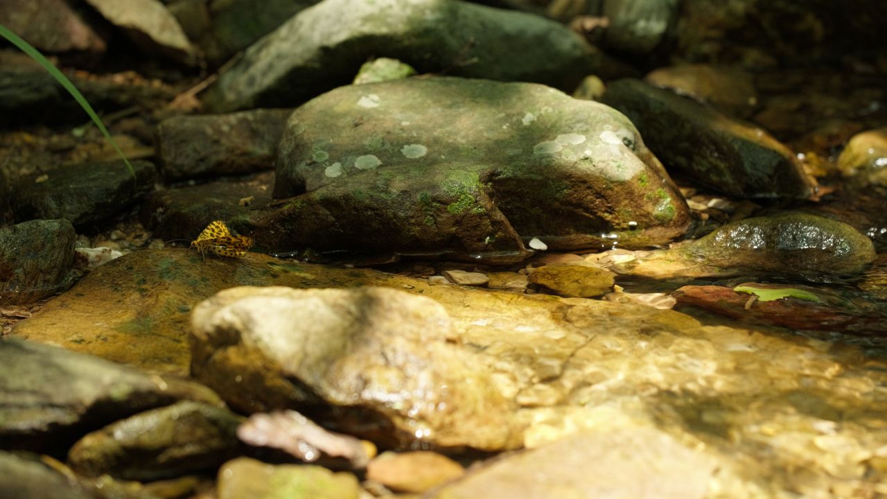 清澈山泉水温泉矿泉水小溪山涧 13