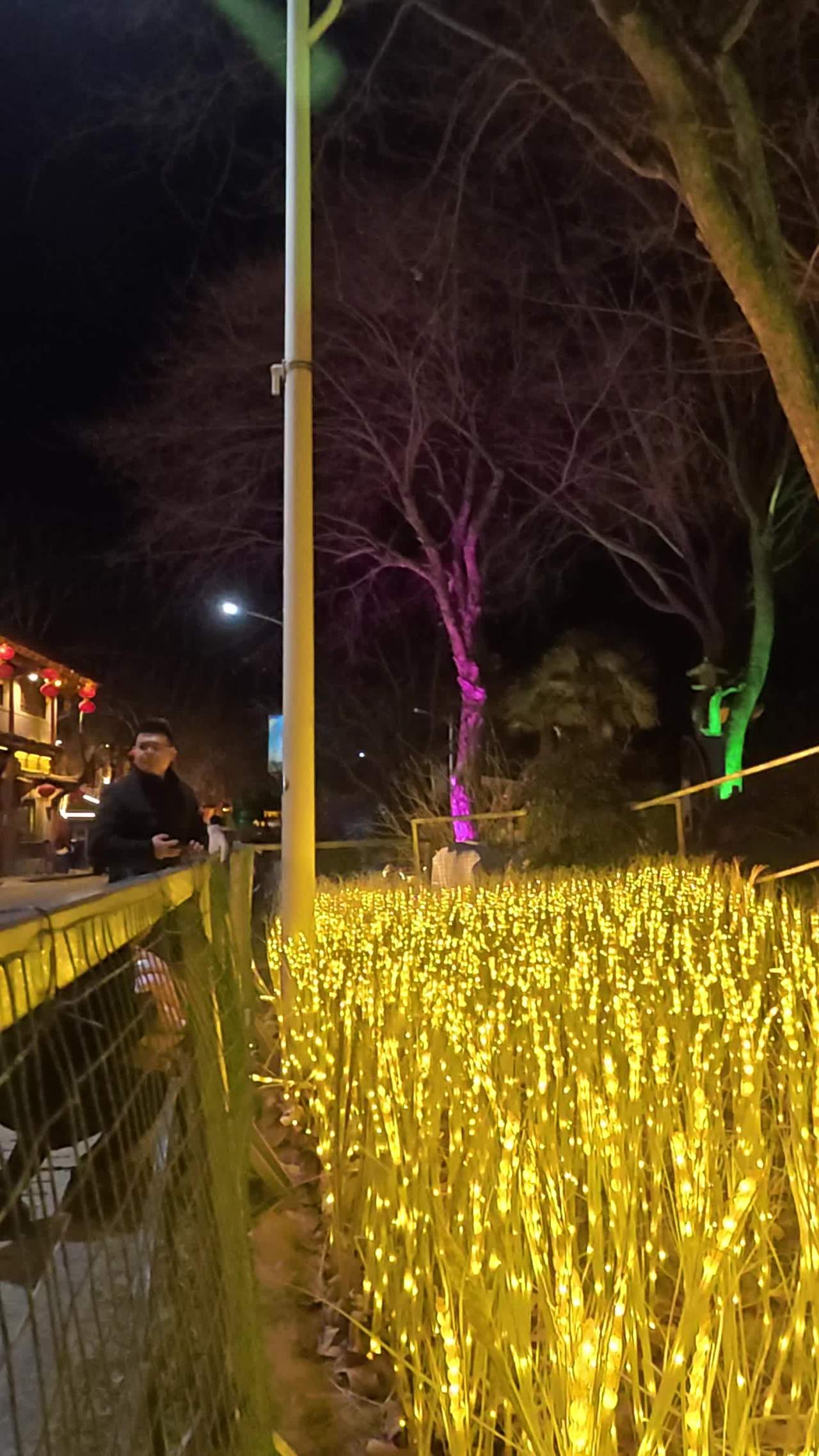 夜色中的灯光森林