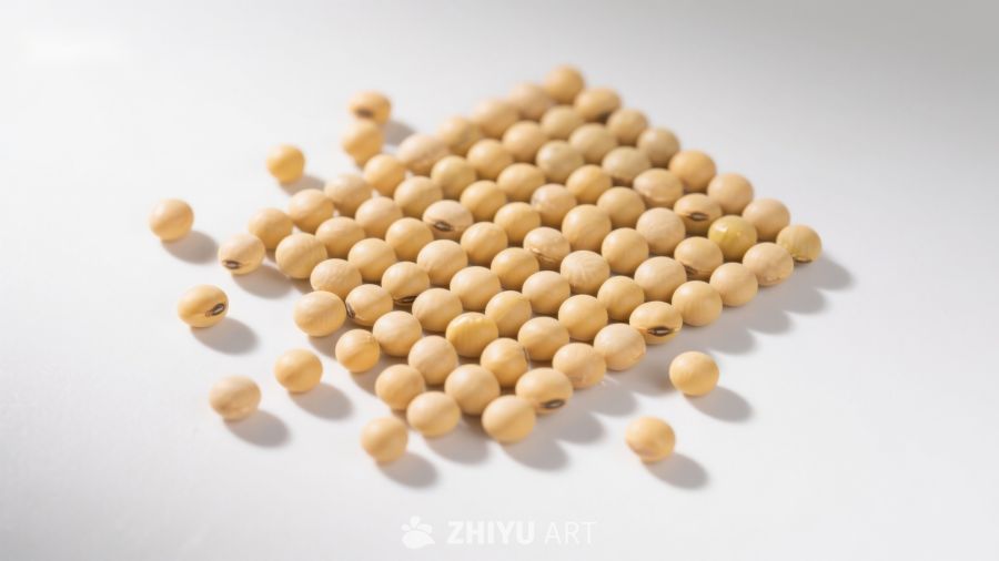 整齐排列的黄豆