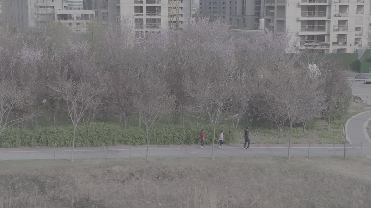 城市公园漫步
