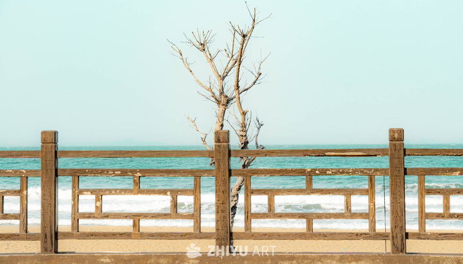 海边的静谧时光