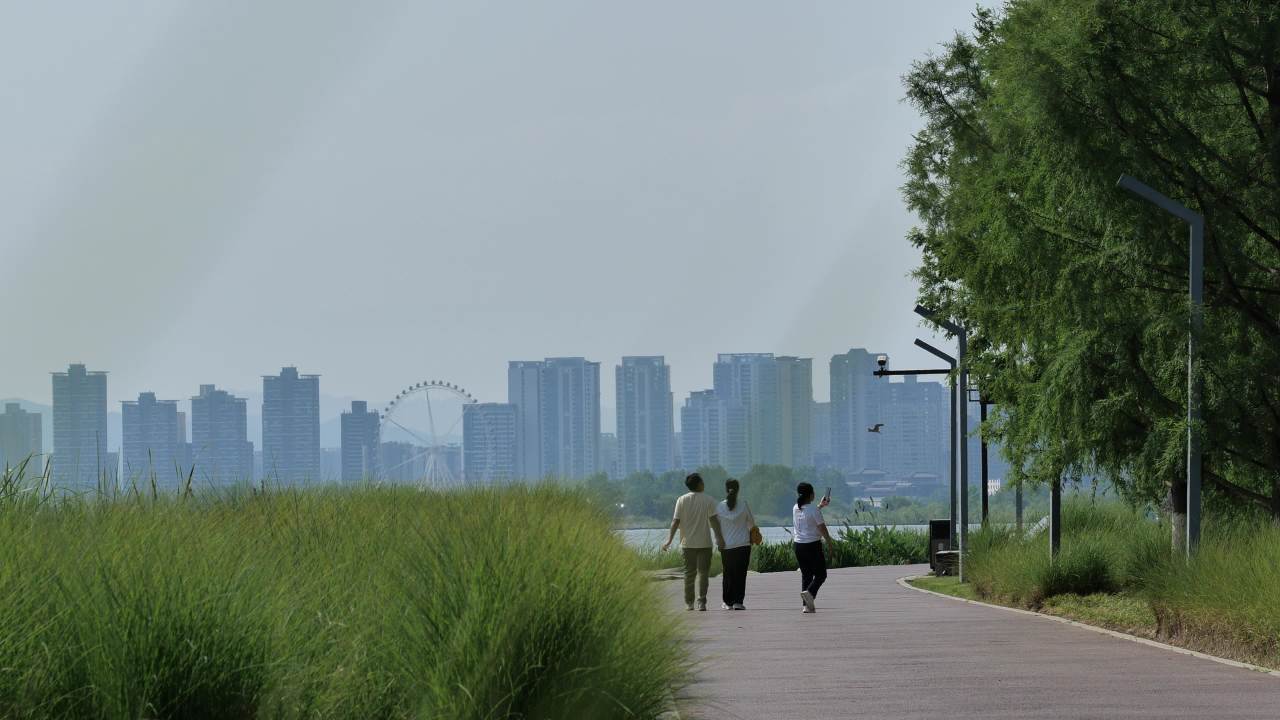湿地公园一角 4