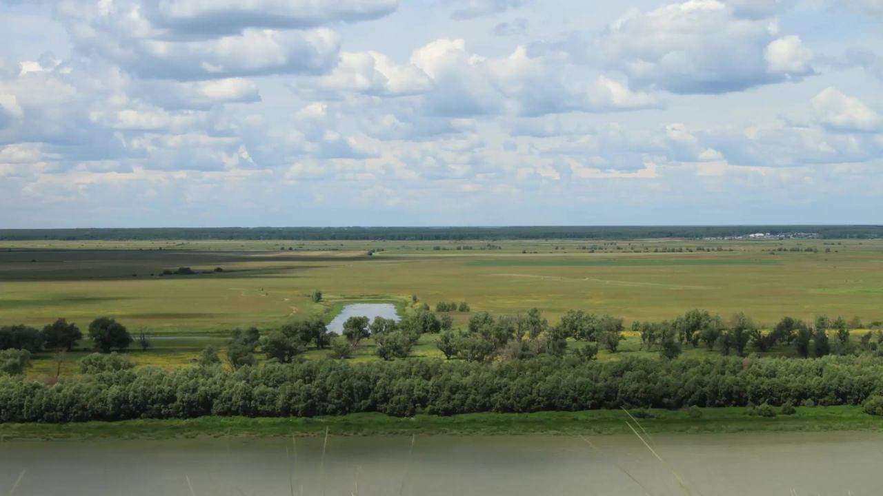 夏季额尔齐斯河河西伯利亚
