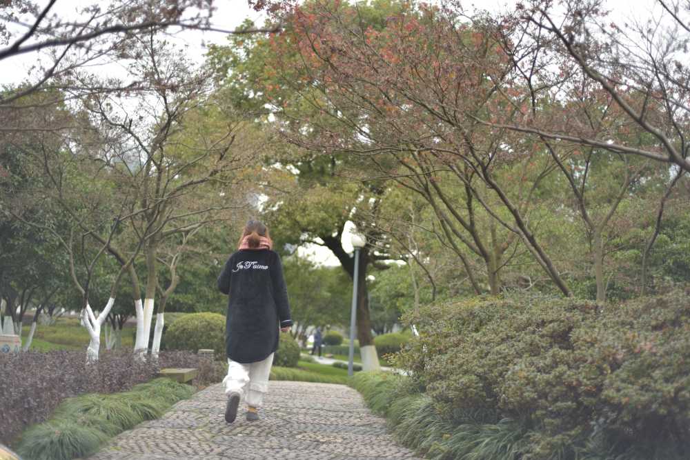 月湖公园