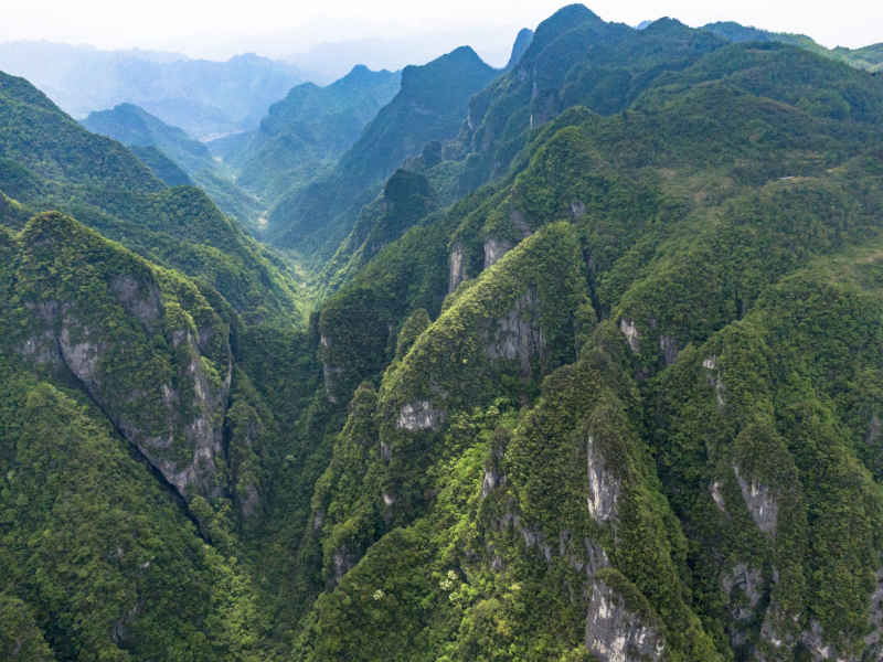 湖南张家界大山深处山谷悬崖
