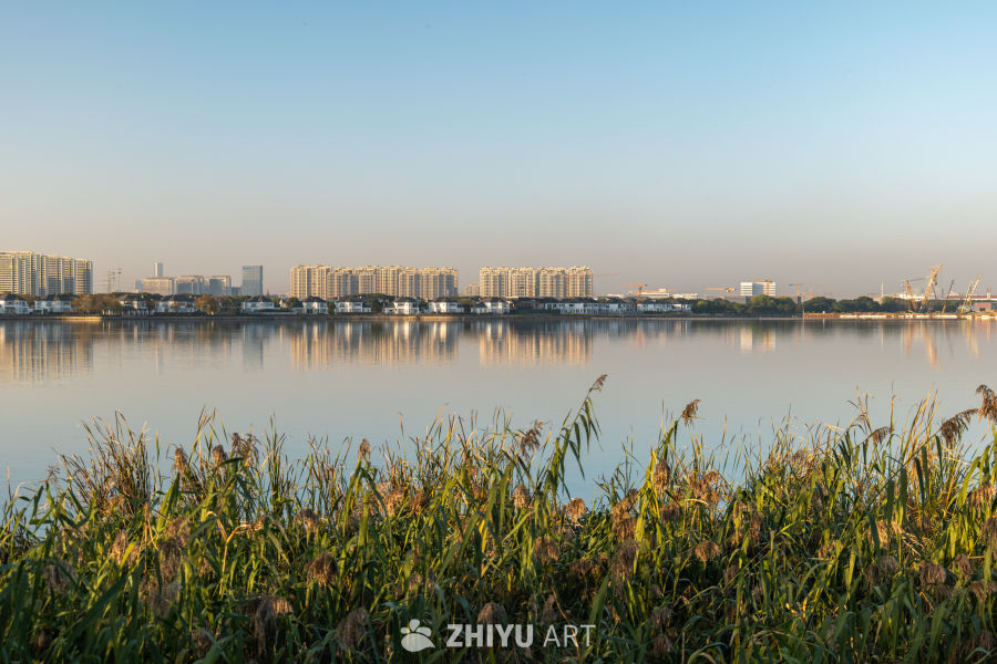 湖畔晨景：城市与自然的和谐