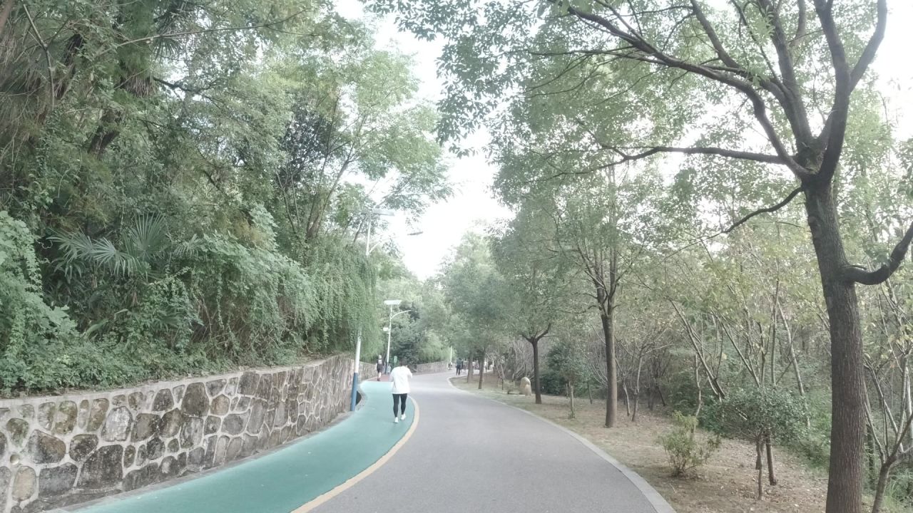 公园 22