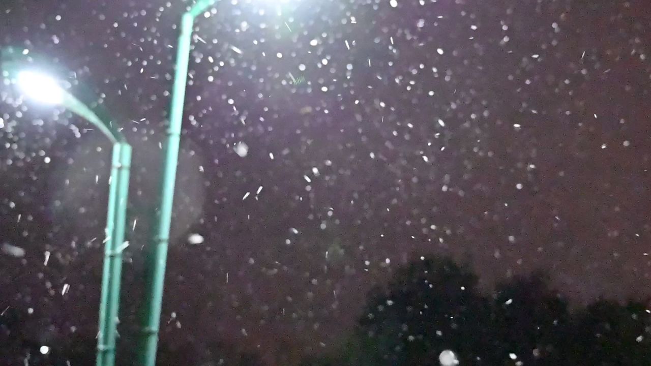 初雪