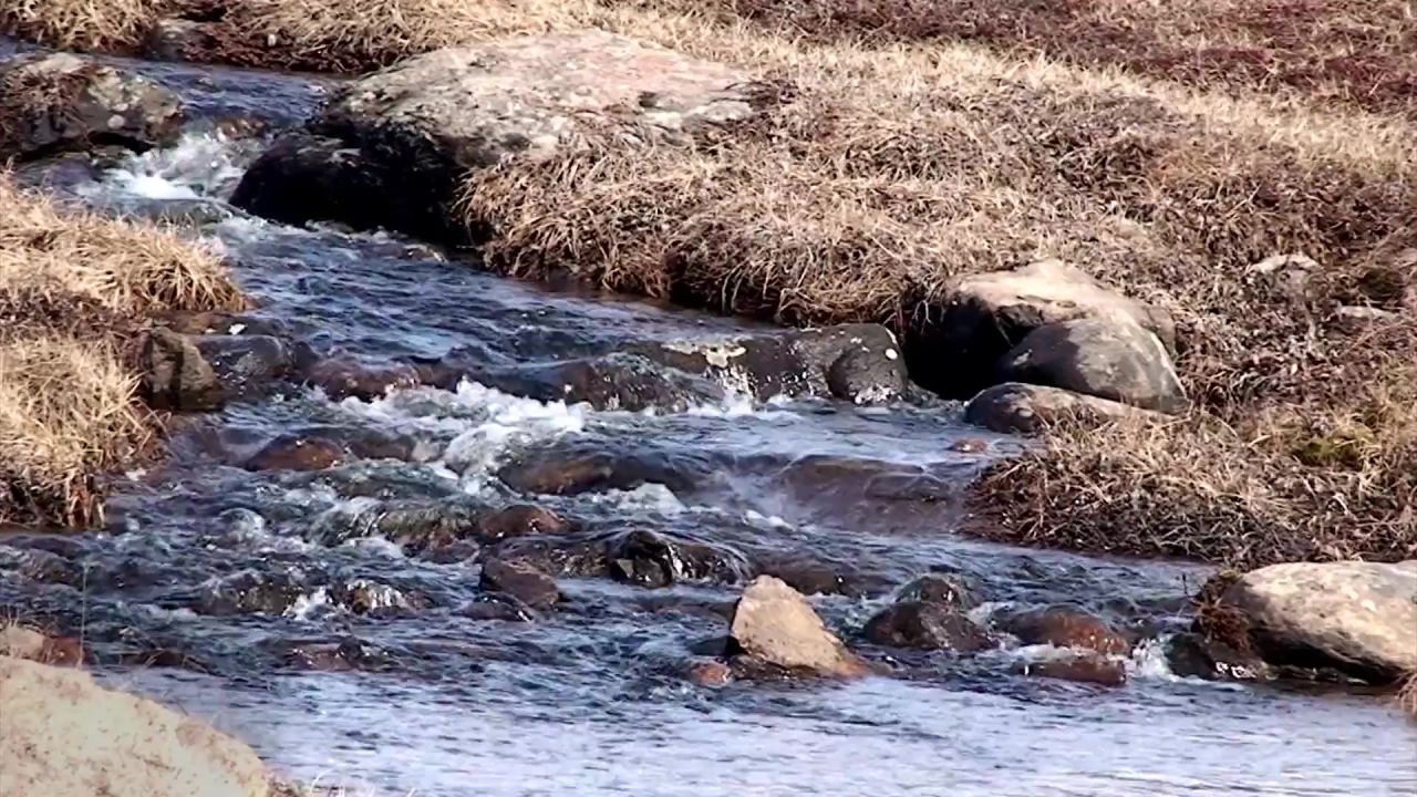溪冻土带自然