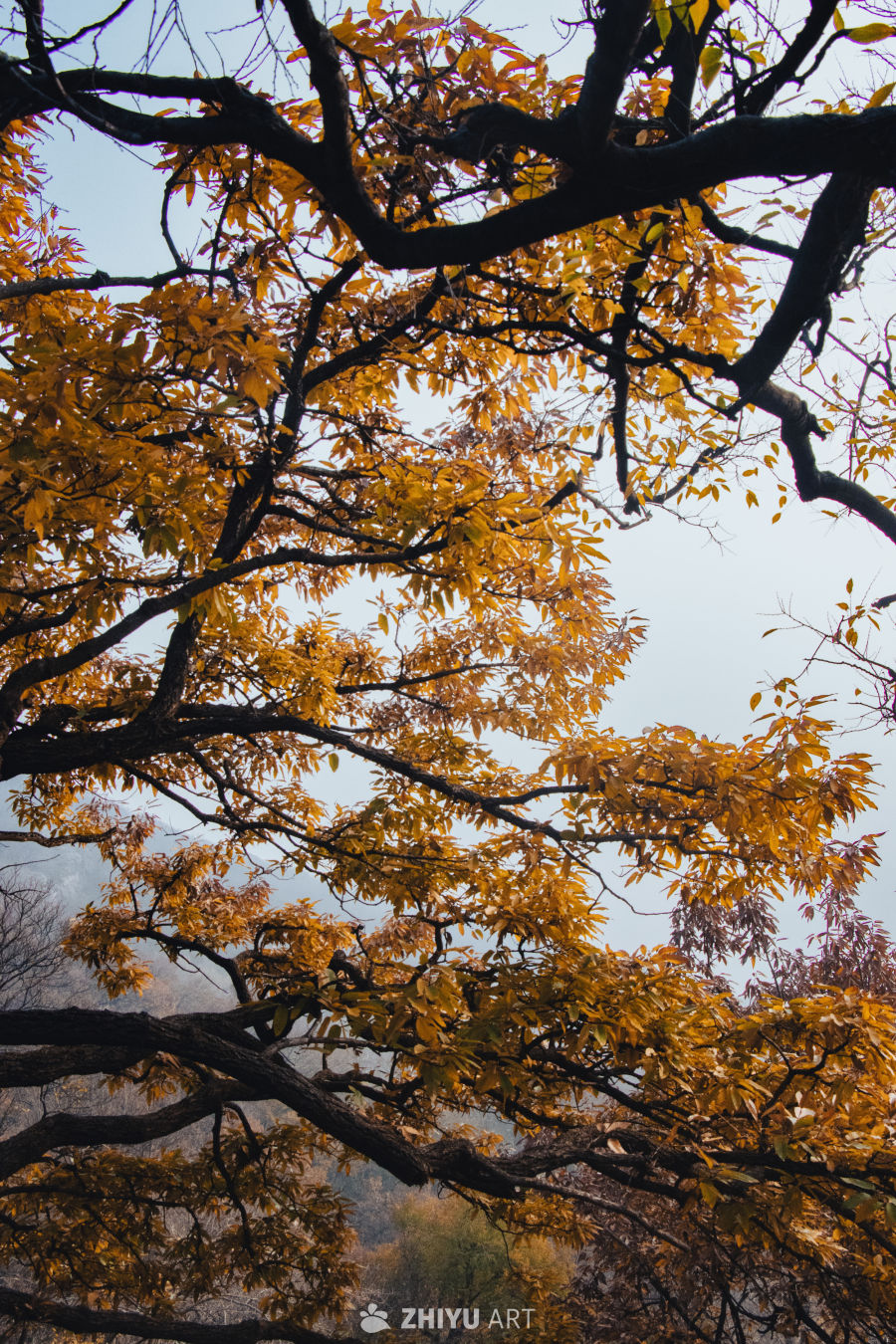 抓住秋天的尾巴
