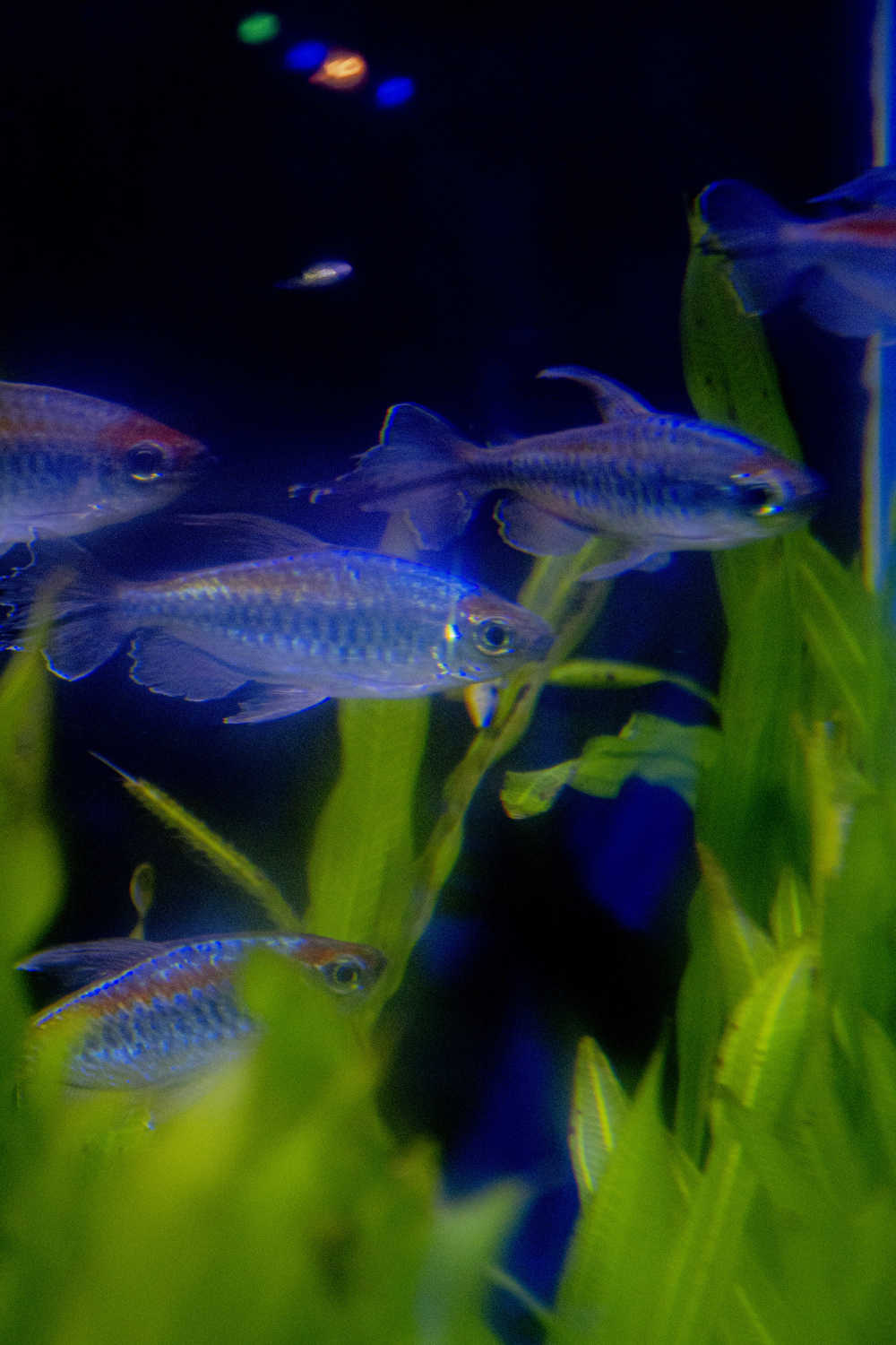 水族馆