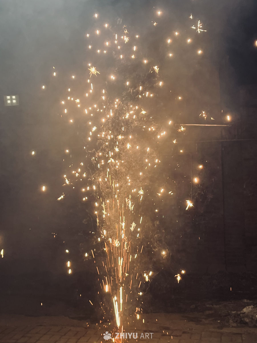 璀璨夜空的烟花盛宴