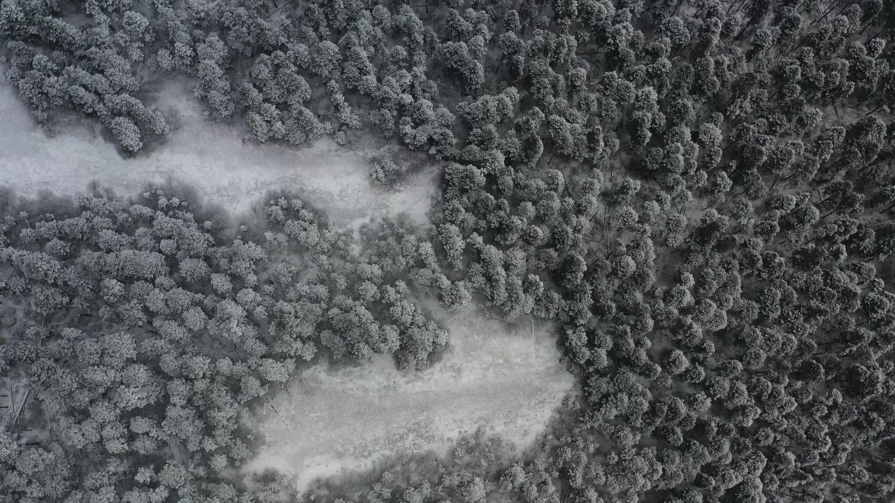 航拍大雪纷飞的鲁朗林海