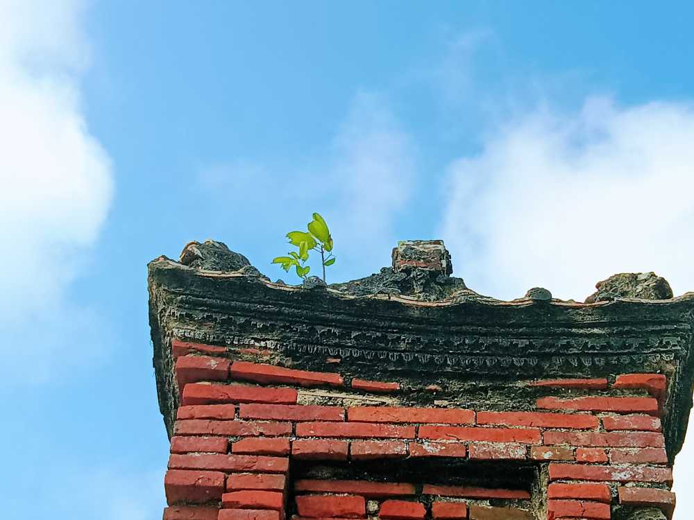 近代史古建筑