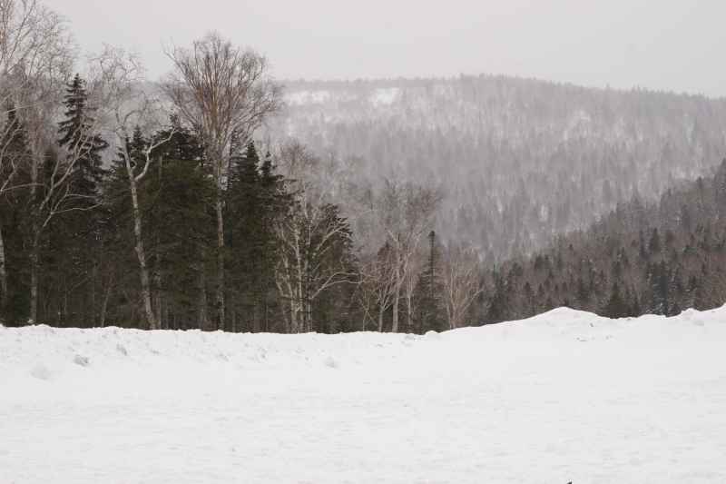 雪中山林