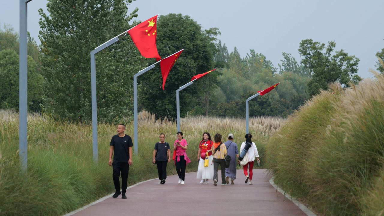 国庆江边芦苇荡 2