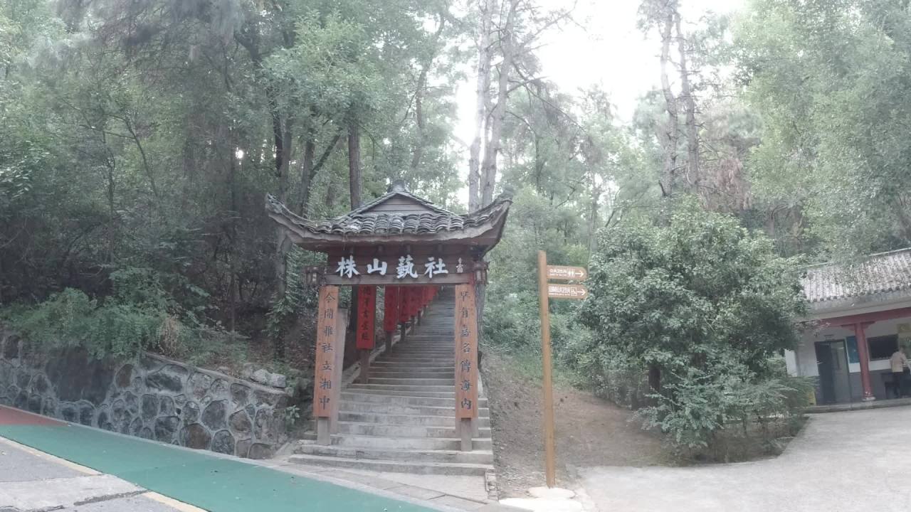 公园 7