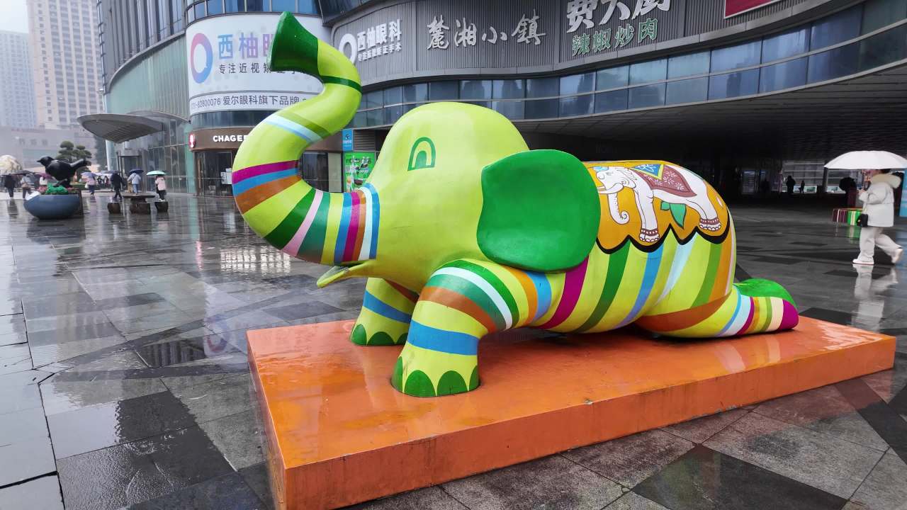 长沙 29