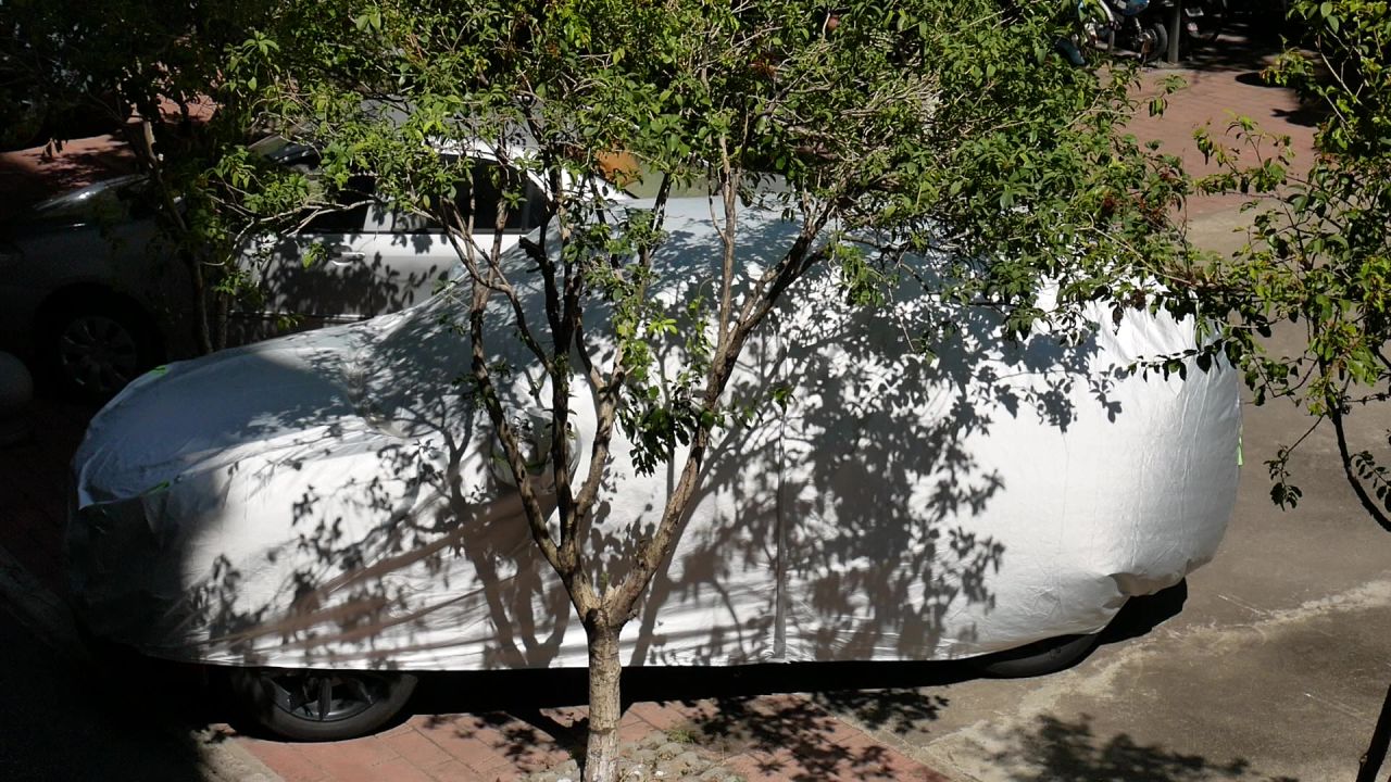 风吹桂花树影和车罩汽车