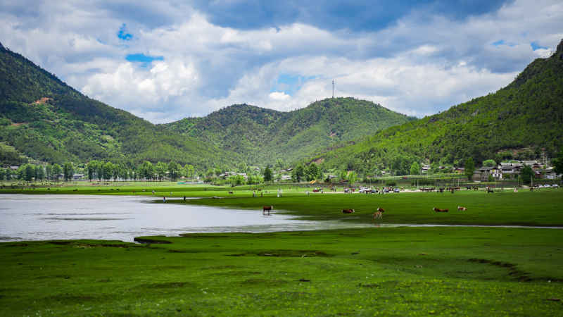 文海村