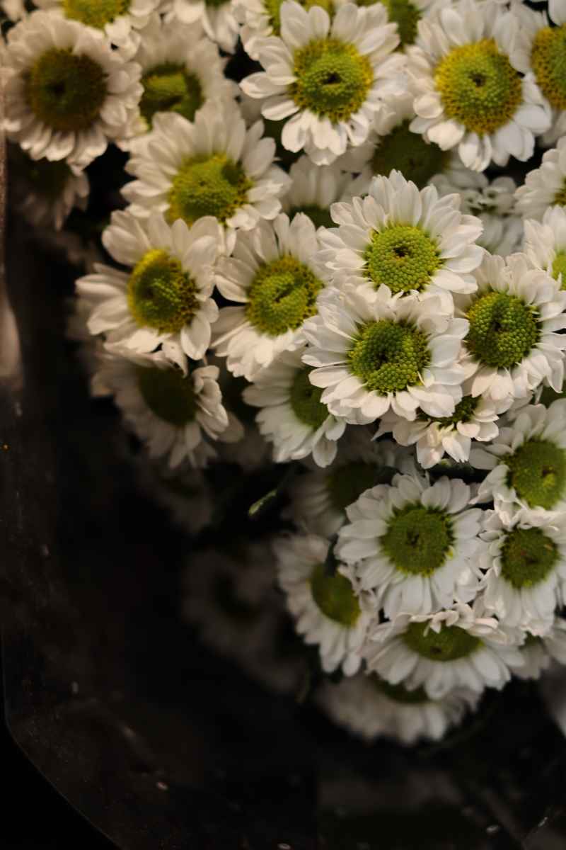 花卉市场 7