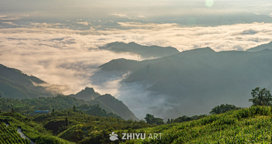 晨雾缭绕的山间田园