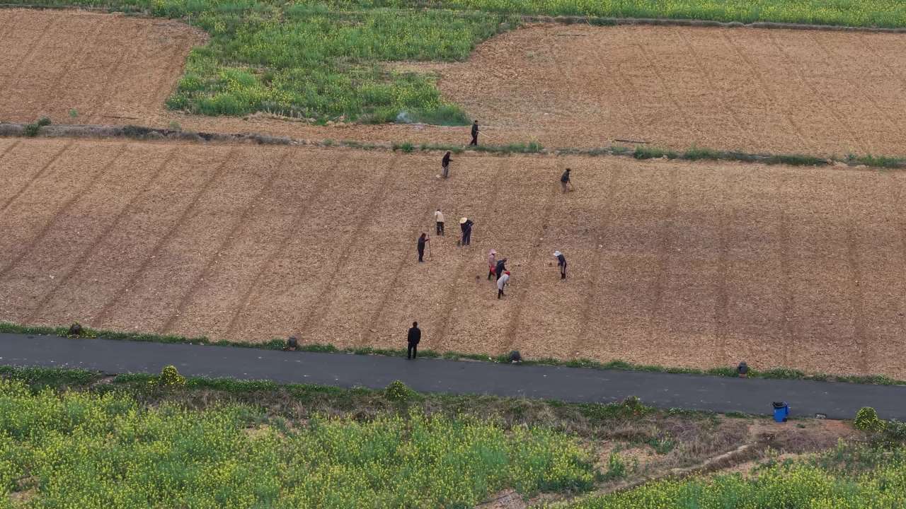 田野上的协作