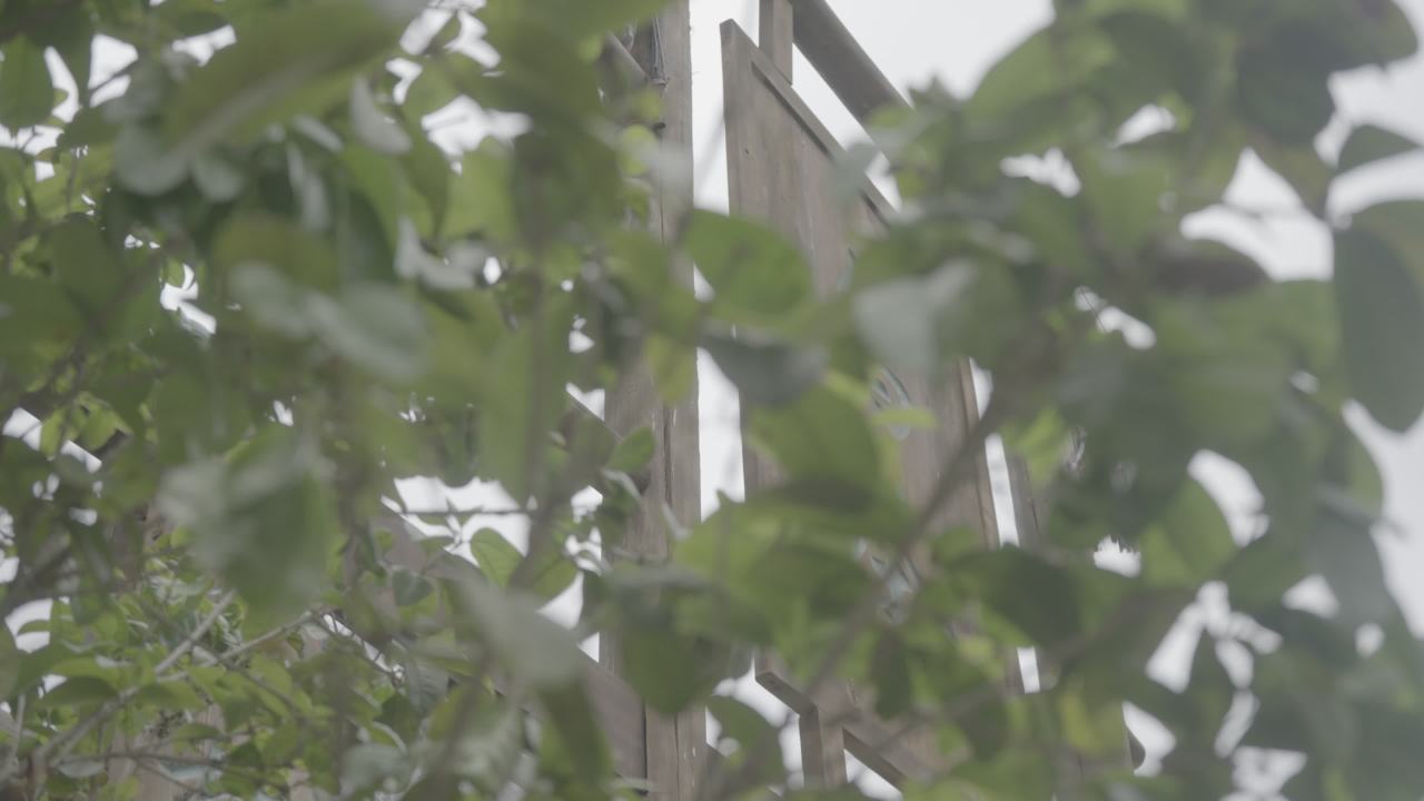 白裤瑶寨 1