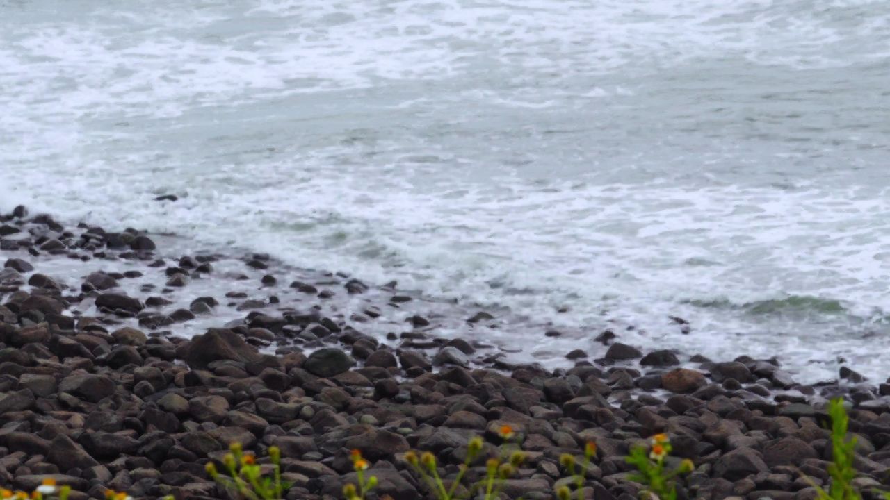 浪扑海岸
