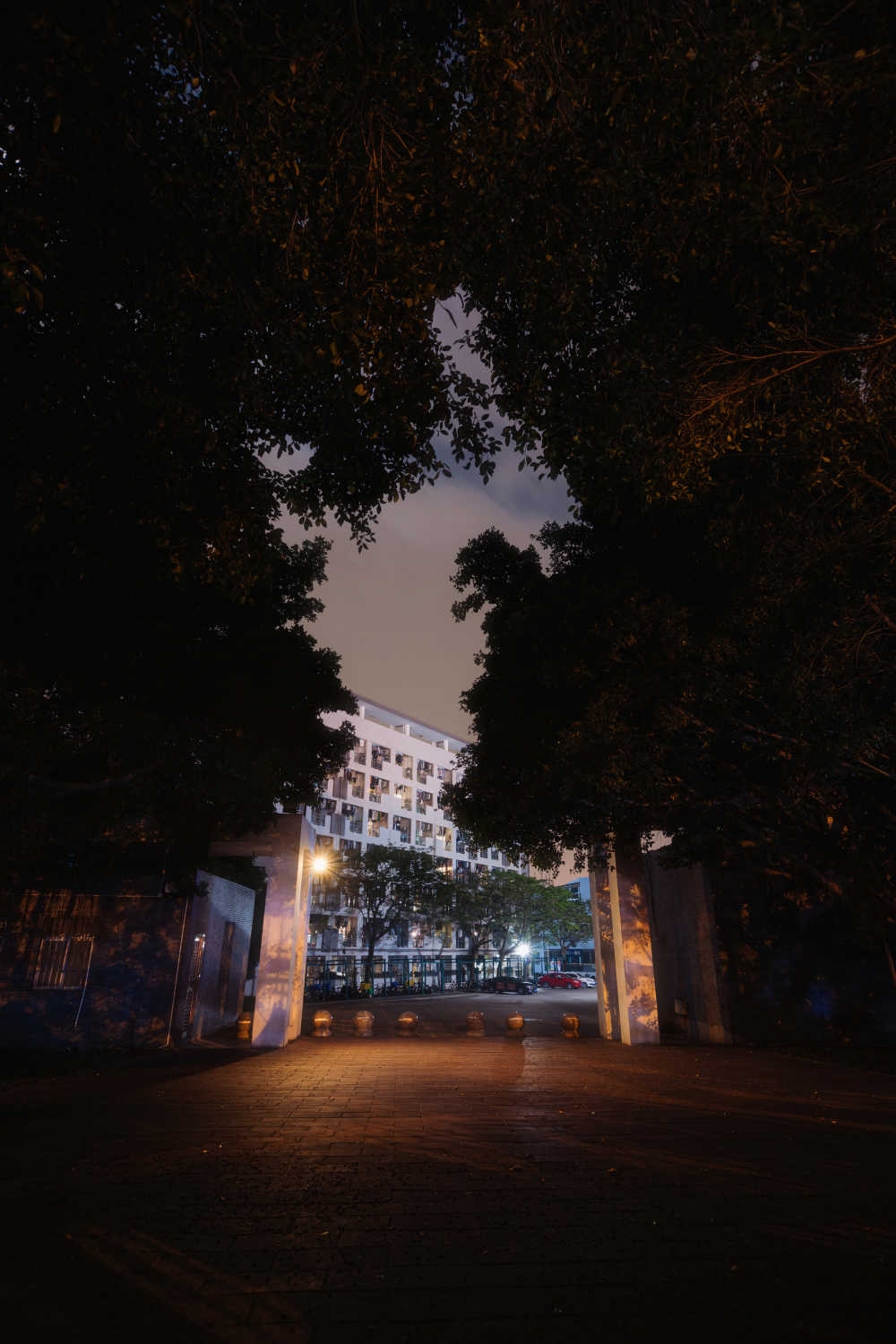 夜晚树木环抱的公寓楼门口路灯
