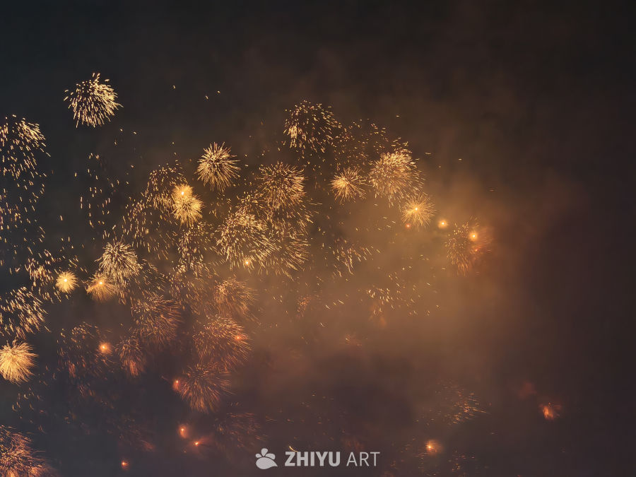 烟花炸开的瞬间