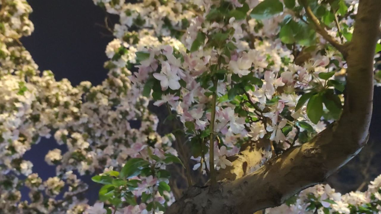 风景2